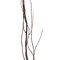 Uniquewise Natural Dry Branches Authentic Willow Sticks for Home Decoration and Wedding Craft, 37 inch QI004415.37 - alternate 6